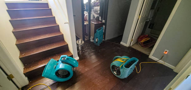 Best Water damage restoration near me  in San Luis Obispo, CA