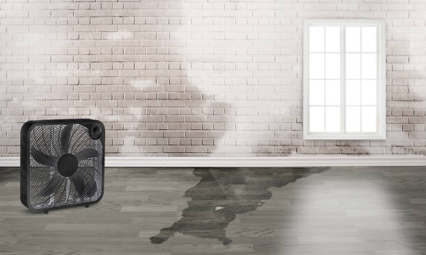 Water damage restoration mold remediation in CA