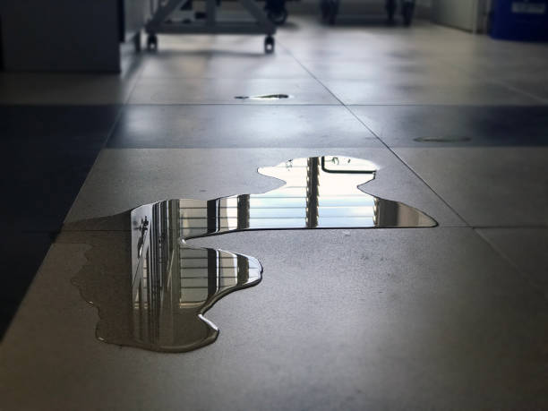 Best Water damage cleanup near me  in San Luis Obispo, CA