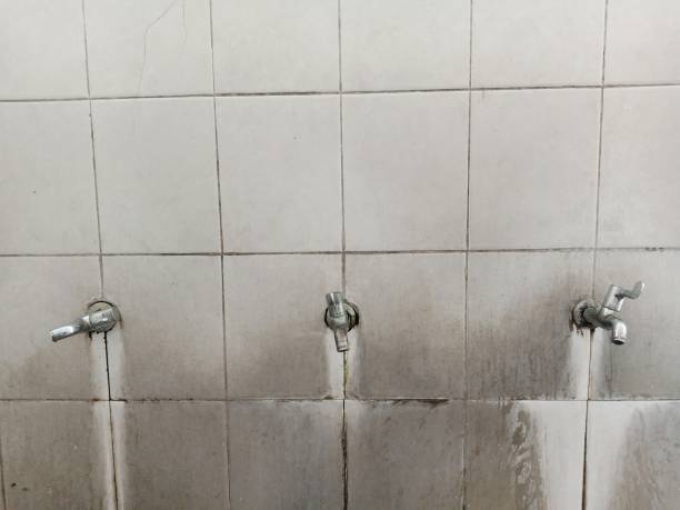 Best Flood restoration services  in San Luis Obispo, CA