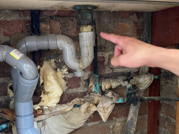 Best Water damage contractors near me  in San Luis Obispo, CA